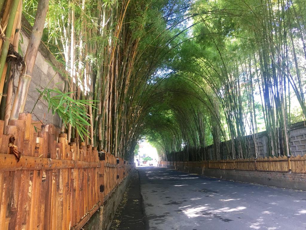 The Celuk Homestay Jimbaran Exterior foto